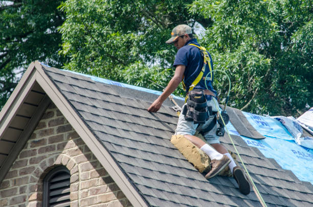 Best Gutter Installation and Roofing  in Ashland, VA